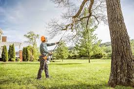 Seasonal Cleanup (Spring/Fall) in Ocilla, GA